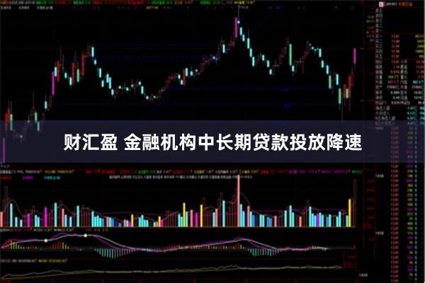 财汇盈 金融机构中长期贷款投放降速