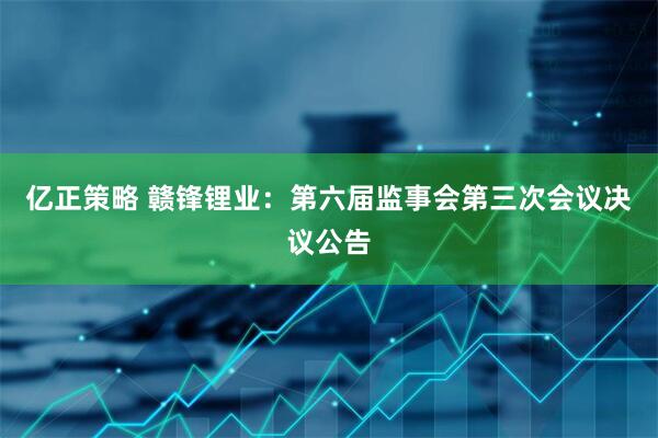 亿正策略 赣锋锂业：第六届监事会第三次会议决议公告