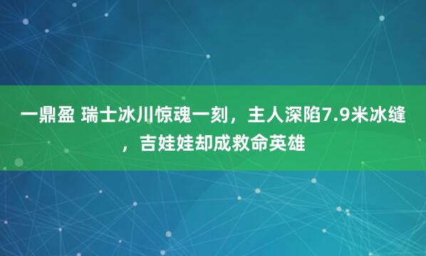 一鼎盈 瑞士冰川惊魂一刻，主人深陷7.9米冰缝，吉娃娃却成救命英雄