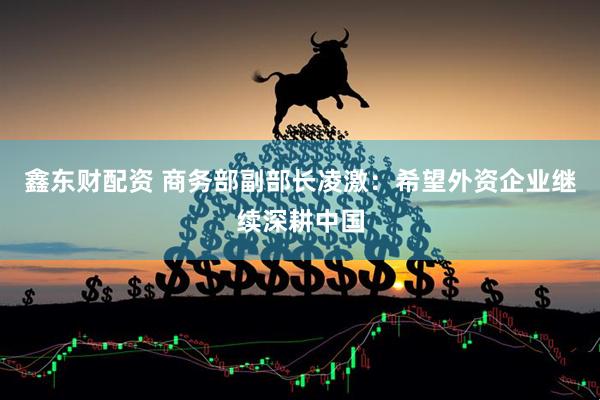 鑫东财配资 商务部副部长凌激：希望外资企业继续深耕中国